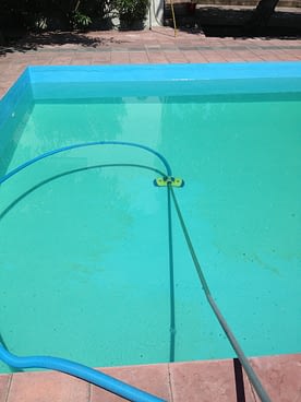 green swimming pool 3