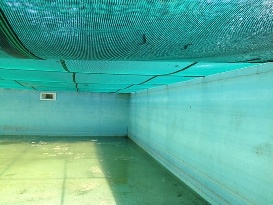 swimming pool 6