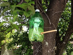 A homemade bird feeder made out of a plastic bottle