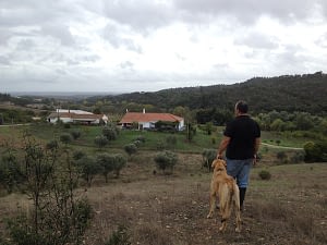 A man standing on a hill looking at his house